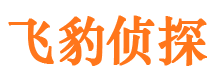 小河外遇调查取证